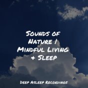 Sounds of Nature | Mindful Living & Sleep