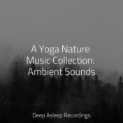 A Yoga Nature Music Collection: Ambient Sounds