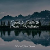 Sounds to Soothe the Souls | Meditation