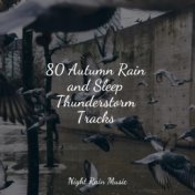 80 Autumn Rain and Sleep Thunderstorm Tracks