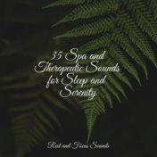 35 Spa and Therapeutic Sounds for Sleep and Serenity