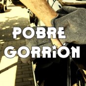 Pobre Gorrión