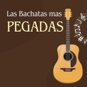 Las Bachatas mas pegadas