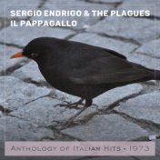 Il pappagallo (Anthology of Italian Hits 1973)