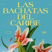 Las Bachatas del caribe