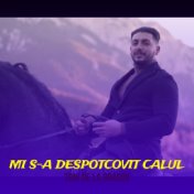 Mi S-a Despotcovit Calul