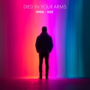 Died in Your Arms