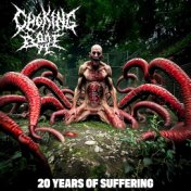 20 Years of Suffering