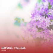 #22 Natural Healing Noises to Calm your Brain