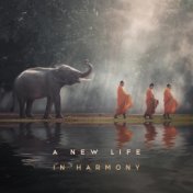 A New Life in Harmony - Meditation as a New Beginning of Calm for the Soul and Body