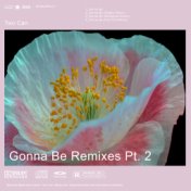 Gonna Be Remixes, Pt. 2