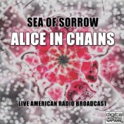 Sea of Sorrow (Live)