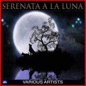 Serenata A La Luna Vol .1