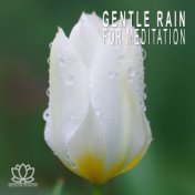 Gentle Rain for Meditation