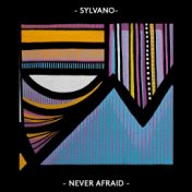 Never afraid (feat. Devonte)