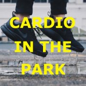 Cardio In The Park