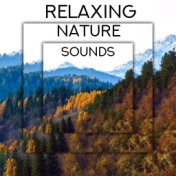 Relaxing Nature Sounds - Ambient New Age Music, Keep Calm with Nature Sounds, Pouring Rain, Woodland Escape, Bird Calls, Blue Sk...
