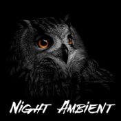 Night Ambient: Music to Chill After Dark