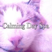 Calming Day Spa