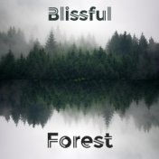 Blissful Forest - Spa Music Collection by Musical Spa