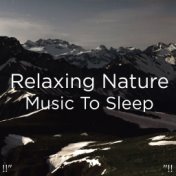 !!" Relaxing Nature Music To Sleep "!!