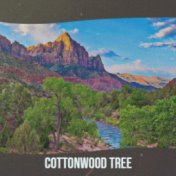 Cottonwood Tree