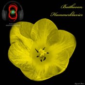 Piano Sonata no. 29 in B flat major 'Hammerklavier', Op. 106 - Ludwig van Beethoven (3D Sound - Headphones mandatory for the bes...