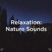 !!" Relaxation: Nature Sounds "!!