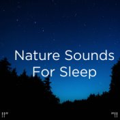 !!" Nature Sounds For Sleep "!!