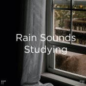 !!" Rain Sounds Studying "!!