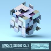 Intricate Sessions, Vol. 3, Unmixed