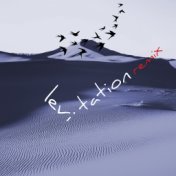 Levitation (E-Qu Remix)