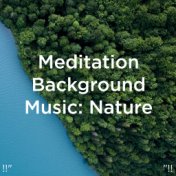 !!" Meditation Background Music: Nature "!!