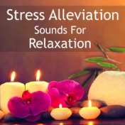 Stress Alleviation Sounds For Relaxation