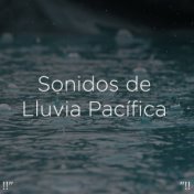 !!" Sonidos de Lluvia Pacífica "!!