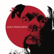 Dogs From Japan