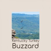 Kentucky Turkey Buzzard