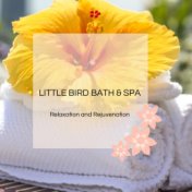 Little Bird Bath & Spa - Relaxation And Rejuvenation