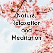 Nature, Relaxation and Meditation - Feel Like in the Asian Zen Garden Thanks to This Ambient New Age Music, Essential Relaxation...