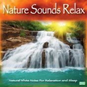 Nature Sounds: Relax