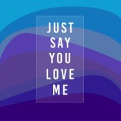 Just Say You Love Me