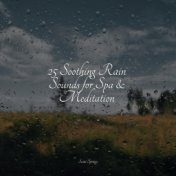 25 Soothing Rain Sounds for Spa & Meditation