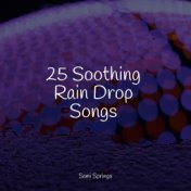 25 Soothing Rain Drop Songs