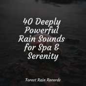 40 Deeply Powerful Rain Sounds for Spa & Serenity