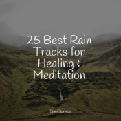 25 Best Rain Tracks for Healing & Meditation