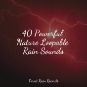 40 Powerful Nature Loopable Rain Sounds