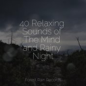 40 Relaxing Sounds of The Mind and Rainy Night