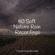 40 Soft Nature Rain Recordings