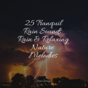 25 Tranquil Rain Sounds: Rain & Relaxing Nature Melodies