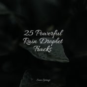25 Powerful Rain Droplet Tracks